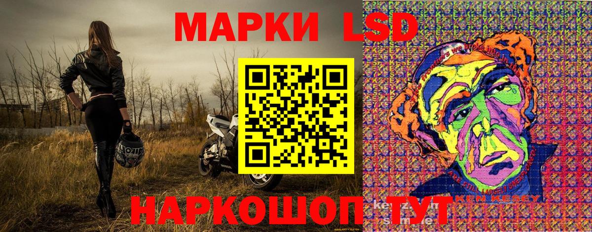 Наркотические марки 1500мкг  Наркотические марки 1500мкг  Новотроицк  Вход с VPN 
