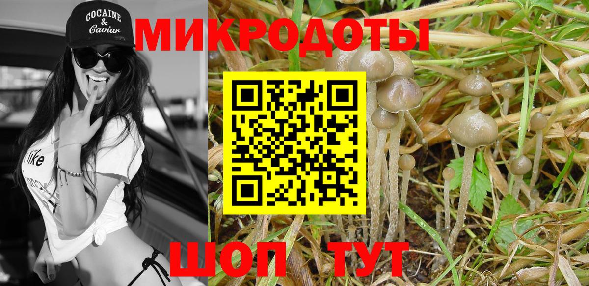 Галлюциногенные грибы Psilocybine cubensis  Вход с VPN  Новотроицк 