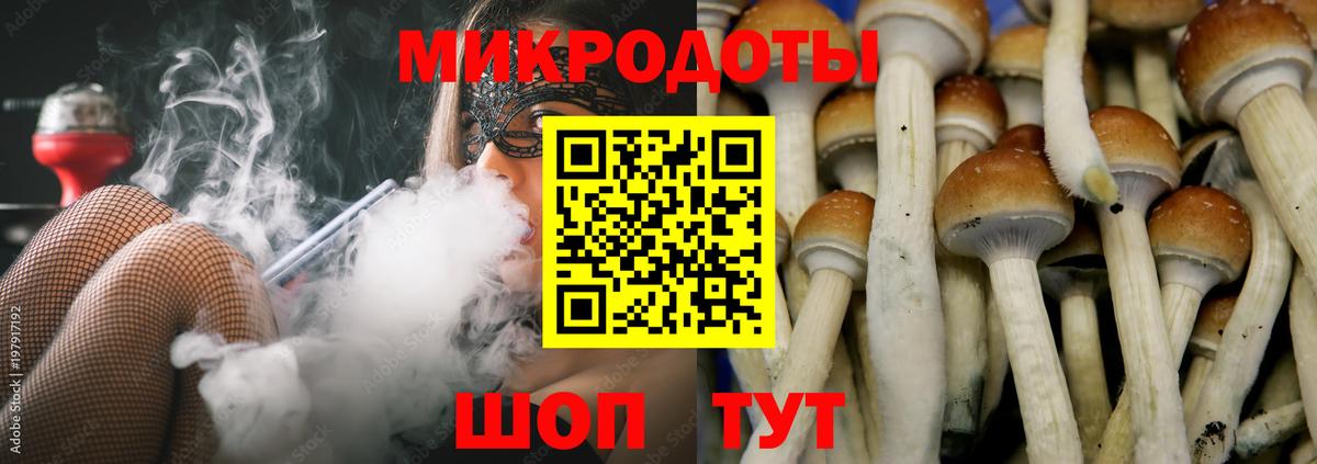 Псилоцибиновые грибы мицелий Новотроицк
